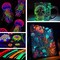 10 Colors Glow in the Dark Paint, 3D Permanent Acrylic Textile Paint (20 ml/0.68 oz), Neon Craft Painting Fabric Paint for Clothes, Canvas, T-Shirt, Ideal for Art Supplies and
